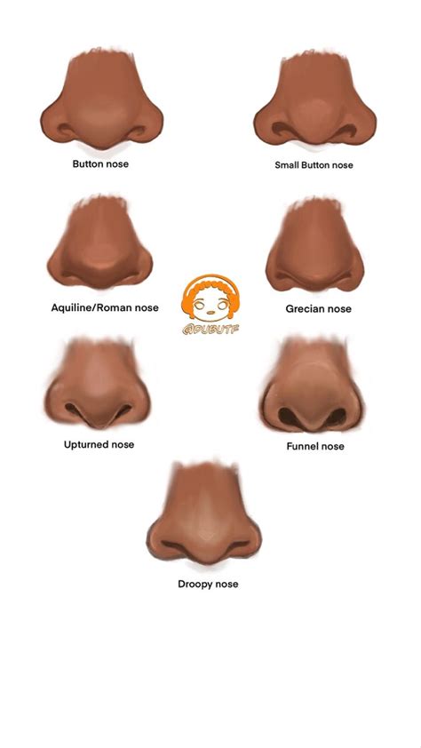 button nose facts  dylan trouton blog