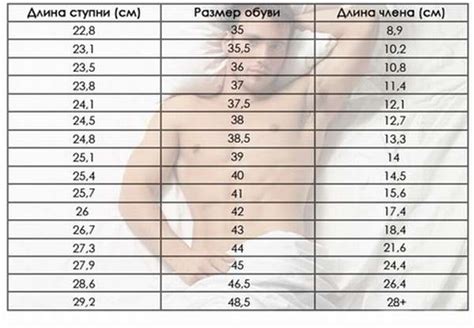 Какая должна быть длина: Нормальный размер члена: какой средний размер ...