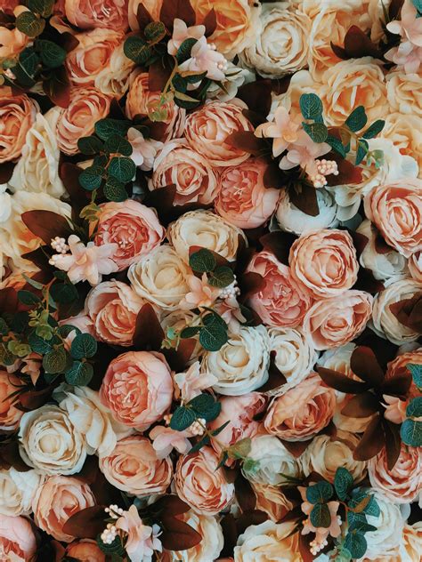 1,456+ Best Free Coral Stock Photos & Images · 100% Royalty-Free HD ...