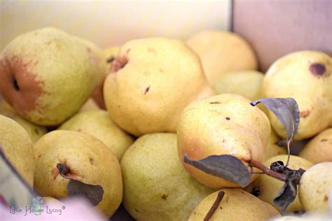 Canning Pears - How to Can Pears