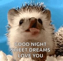 cute goodnight gifs tenor
