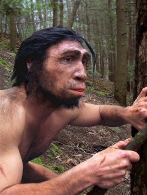 Last Population of Homo erectus Survived in Central Java until 108,000 ...