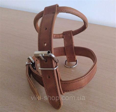 Купить Шлейка для собаки "Lockdog" с закругленными краями Hunter, цена ...