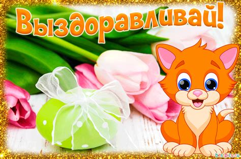 Выздоравливай! (Анимация)
