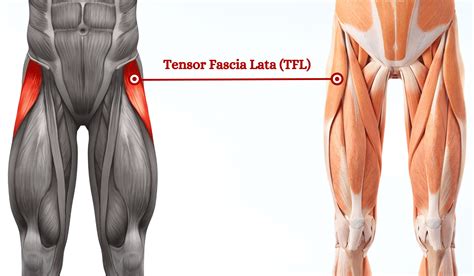 Acupuncture for Vastus Lateralis Pain | ACA Acupuncture and Wellness