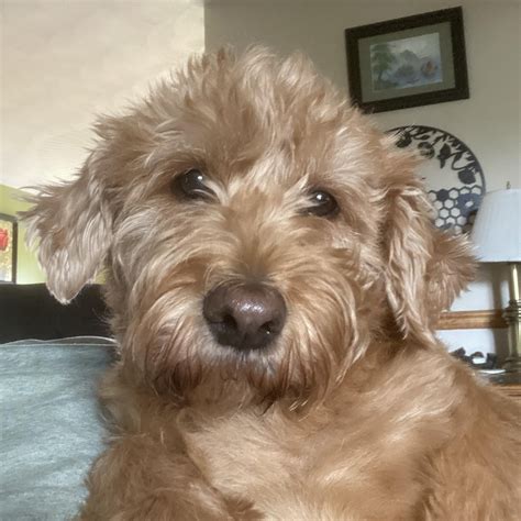 Ryne... - WGAL News Channel 8 Susquehanna Valley, Pa. | Facebook