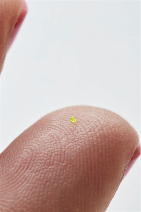 Would You Buy This Microscopic Handbag? | British Vogue