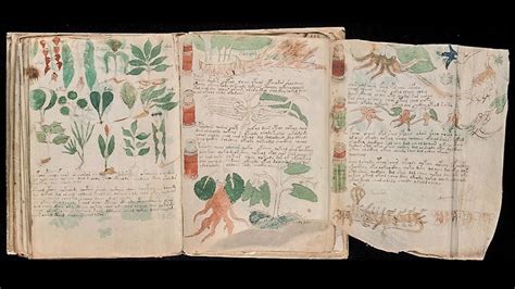 Разгадаха окончателно най-тайнствената книга в света: Извънземните ...