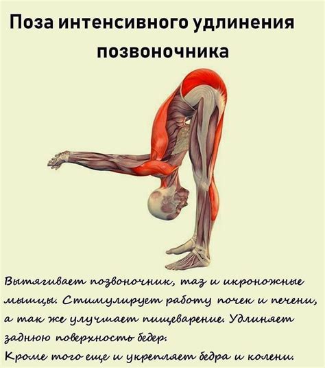 Pin by Olga burchak on Medicine | Daily yoga workout, Easy yoga ...