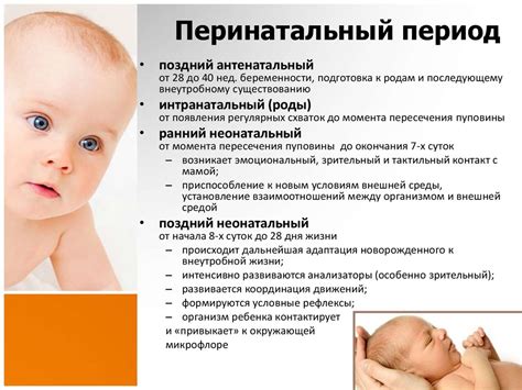 Основы клинической медицины в педиатрии - презентация онлайн