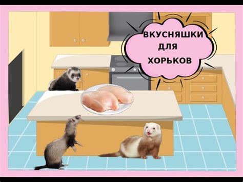 Рецепт лакомства для хорьков и кошек!Как вялить мясо!? - YouTube