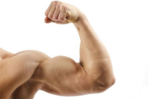 Top des meilleurs exercices pour les bras