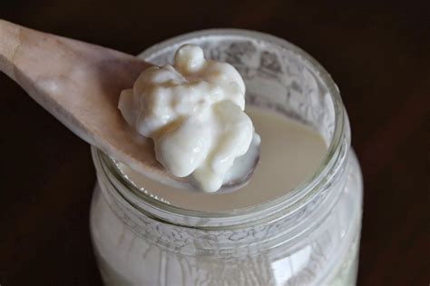 Meire Melchiades: Você conhece o Kefir?