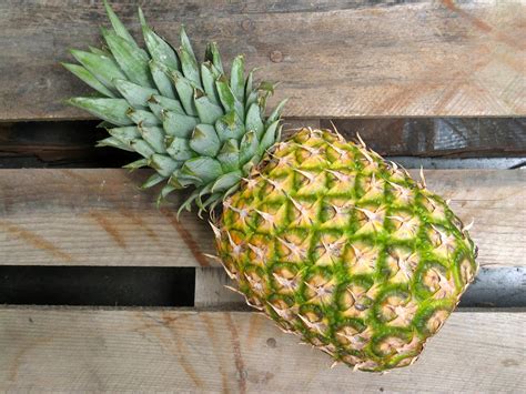 Free fotobanka : ovoce, jídlo, vyrobit, ananas, šťáva, kvetoucí ...