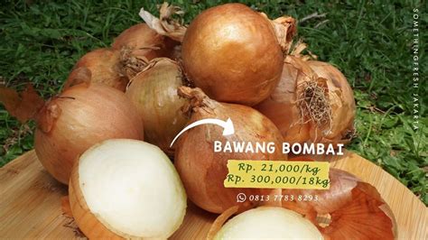 Sayuran Umbi Lapis – Materi Belajar Online