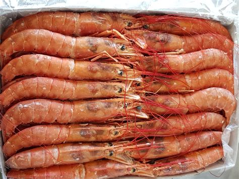 Prawns 10/20 (L1) | The Fish Palace