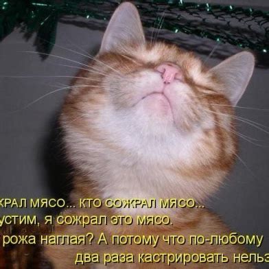 Галина Скрипникова, Москва | Поиск информации