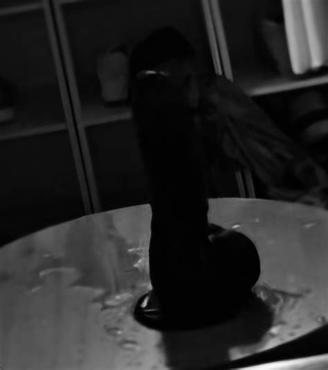 Blue-eyedcowgirl made a mess today on her day off! : r/IndianaOFCreators