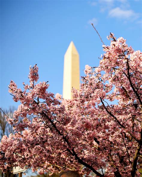 Rachel Aragon on Twitter: "March is the most unpredictable weather