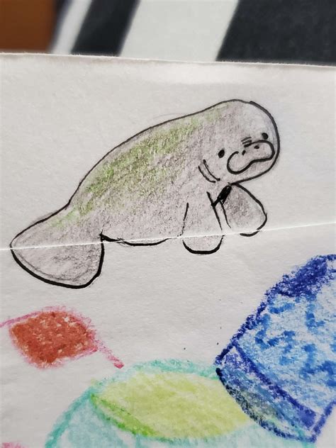 manatee by spacessie on DeviantArt