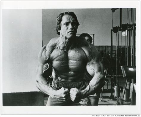 Арнольд Шварценеггер (Arnold Schwarzenegger), фотографии, биография ...