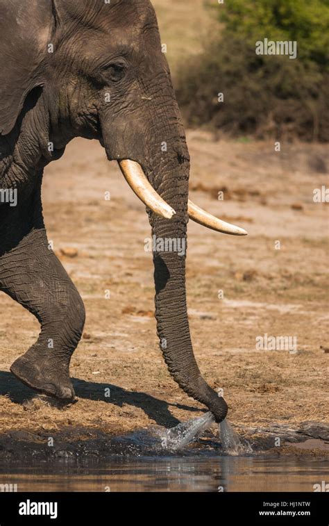 profile big large enormous extreme powerful imposing immense