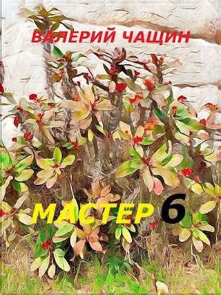 Мастер 6 - читать онлайн бесплатно полную версию книги или скачать в ...