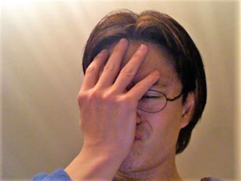 filewikip facepalmjpg wikimedia commons