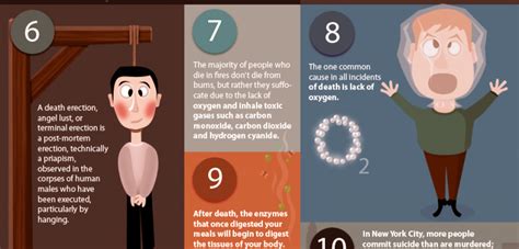 Things You Didn't Know About Death [Infographic] | Only Infographic