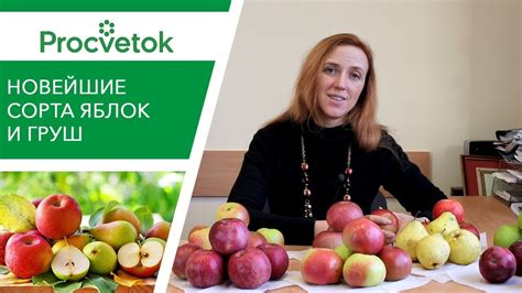 Будьте в курсе! Новейшие сорта яблонь и груш белорусской селекции - YouTube