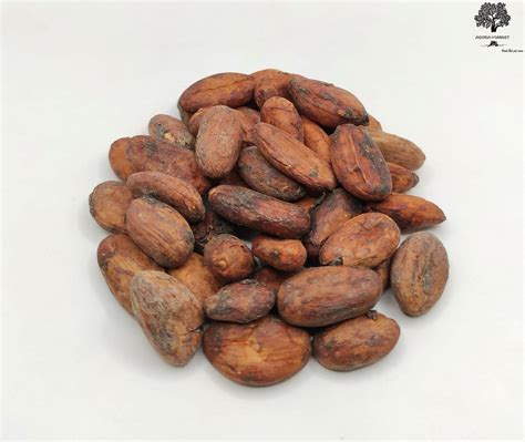 Cacao Pods