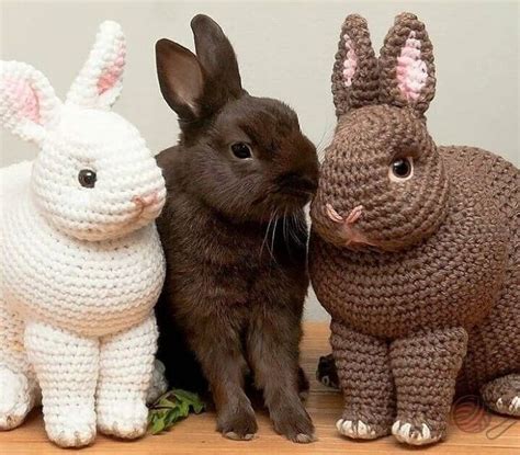 Одноклассники | Amigurumi, Crochet amigurumi, Crochet