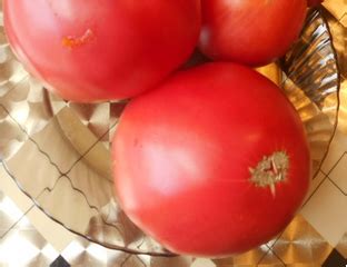 Томат Большая малина (Great Raspberry) - Томатный мир