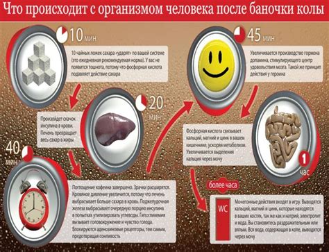 Как действует кола на организм