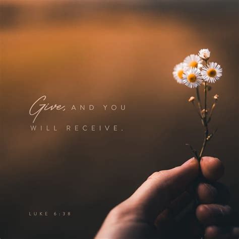 luke  kjv give        good measure