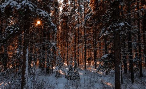 Красивые фотографии и картинки на различные темы | FotoRelax