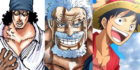One Piece Characters Trained By Monkey D. Garp