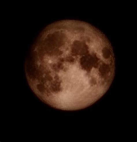 S23 Ultra moon gate: Samsung stirs up controversy by faking Space Zoom ...