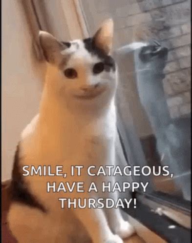 Happy Thursday Funny GIFs | GIFDB.com