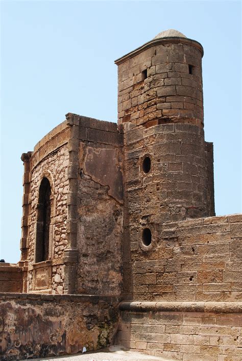 Essaouira // Эс-Сувейра, Mарокко / чайки :: World In Photo :: марокко ...