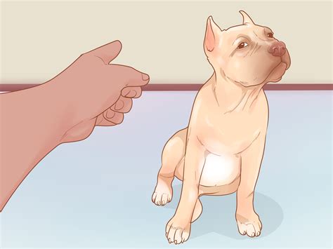Como Ser El Mejor Amante Que Ella Ha Tenido 8