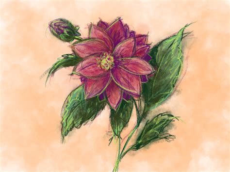 dahlia – Longest Night Midwinter Masque