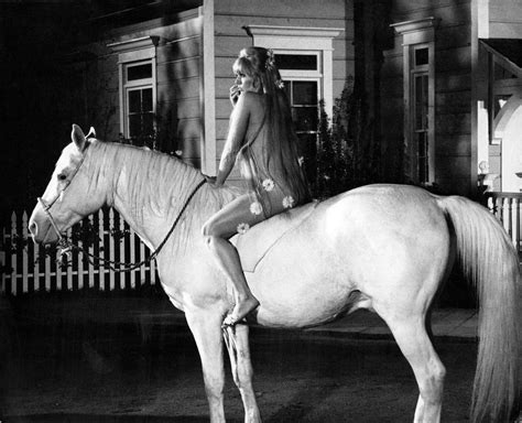 Kim Novak riding like Lady Godiva | Kim novak, Classic movies, Kim