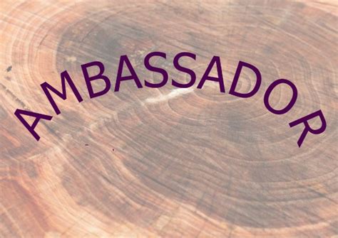 Serving As An Ambassador - NicholsNotes