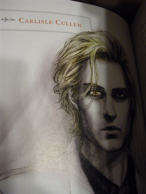 Twilight Official Guide 1