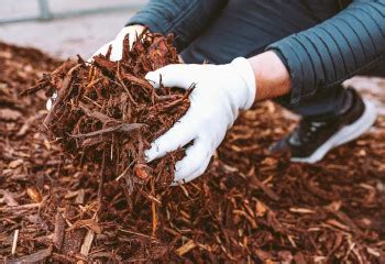 Укладка резиновой мульчи (rubber mulch) в Москве | Торуда