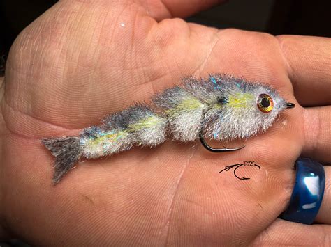Chauterbait: Stop Wasting Time  This Fishing Hack Is A Game Changer! Image 4