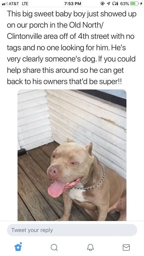 Found Dog! : r/Columbus