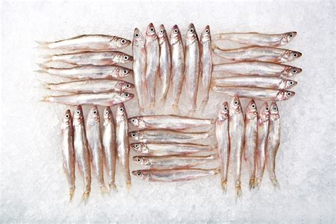 Royal Hawaiian Seafood - KIRA STACKHOUSE