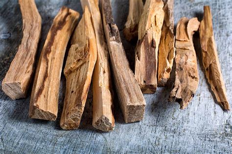 Palo Santo | Palo santo essential oil, Oil benefits, Essential oil benefits